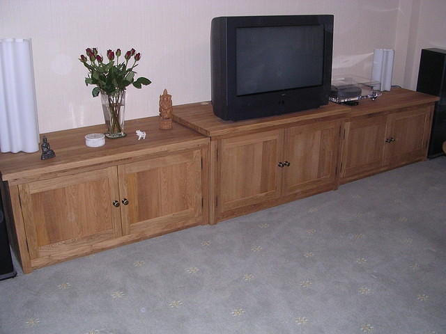 Long Entertainment unit